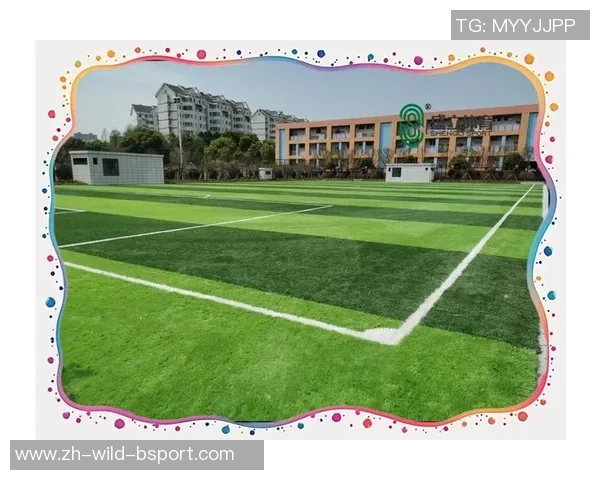 足球场地建设与维护成本分析及其对青少年足球发展的影响探讨 足球场地建设与维护成本分析及其对青少年足球发展的影响探讨