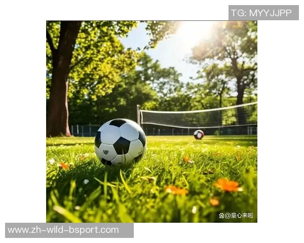 足球颜色的丰富世界全景展示与欣赏之旅